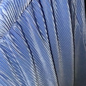 Soft pants for the tall lady’s out there